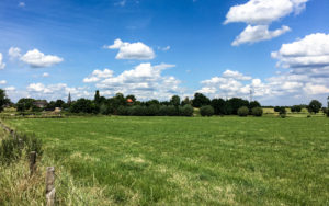 Rheinwiesen in Baerl