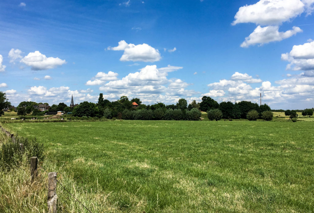 Rheinwiesen Baerl am Niederrhein